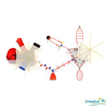 Mohawk | Commercial Playground Equipment
