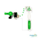 Green Ivy II | Commercial Playground Equipment